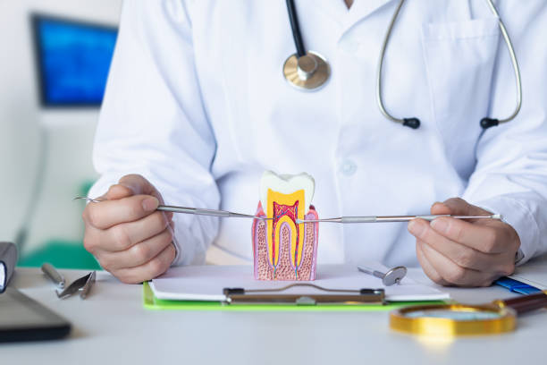 Best Emergency Dental Care for Broken or Chipped Teeth in Gleneagle, CO